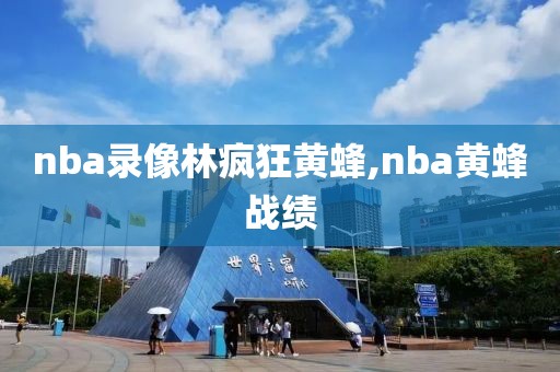 nba录像林疯狂黄蜂,nba黄蜂战绩