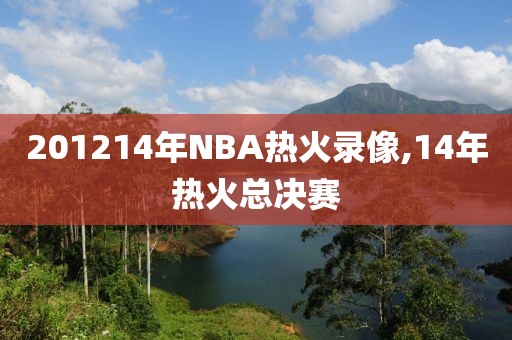 201214年NBA热火录像,14年热火总决赛