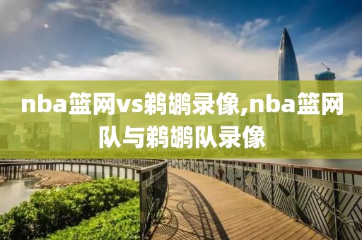 nba篮网vs鹈鹕录像,nba篮网队与鹈鹕队录像