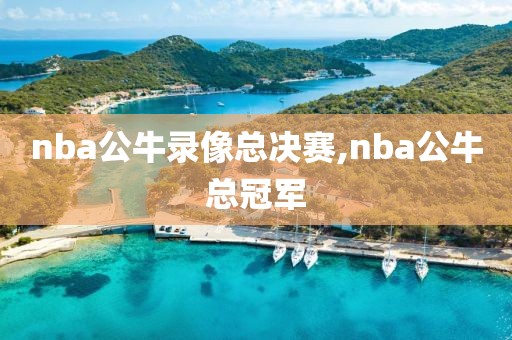 nba公牛录像总决赛,nba公牛总冠军