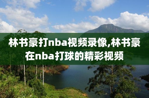 林书豪打nba视频录像,林书豪在nba打球的精彩视频