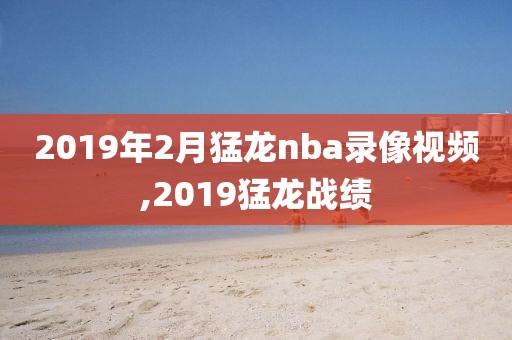 2019年2月猛龙nba录像视频,2019猛龙战绩