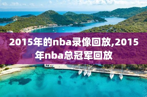 2015年的nba录像回放,2015年nba总冠军回放