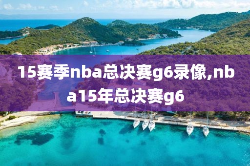 15赛季nba总决赛g6录像,nba15年总决赛g6