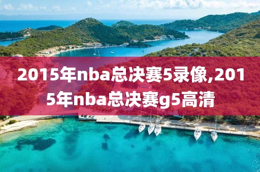 2015年nba总决赛5录像,2015年nba总决赛g5高清