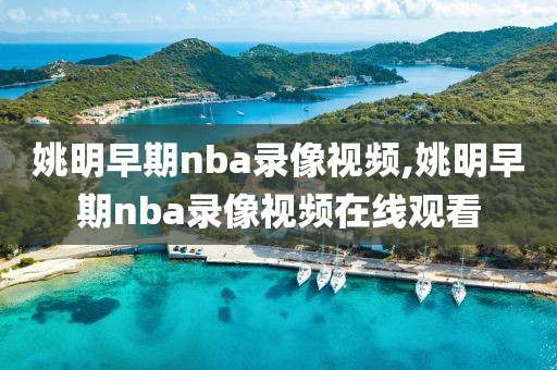 姚明早期nba录像视频,姚明早期nba录像视频在线观看