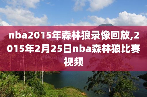 nba2015年森林狼录像回放,2015年2月25日nba森林狼比赛视频