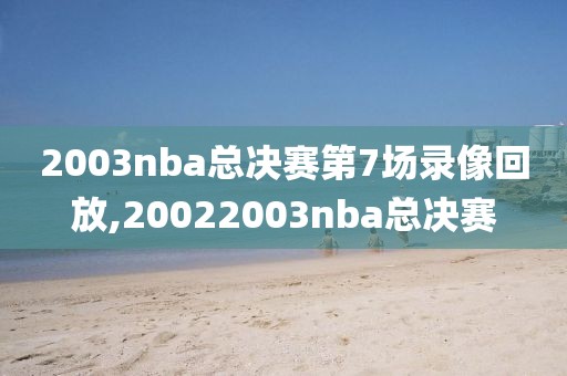 2003nba总决赛第7场录像回放,20022003nba总决赛