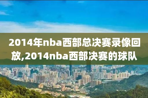 2014年nba西部总决赛录像回放,2014nba西部决赛的球队