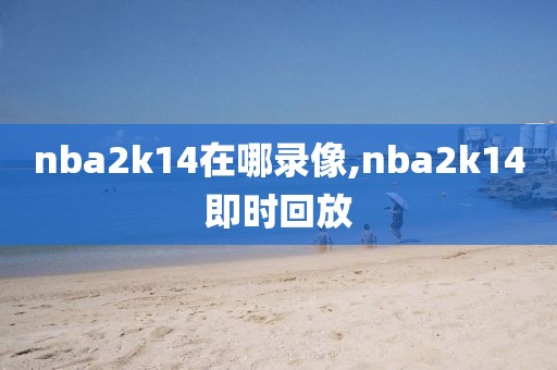 nba2k14在哪录像,nba2k14即时回放