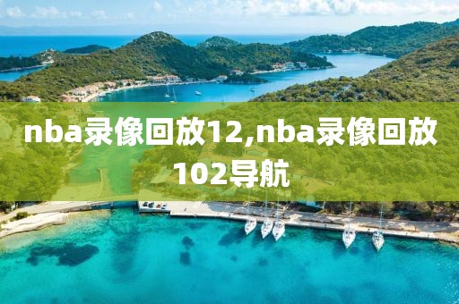 nba录像回放12,nba录像回放102导航