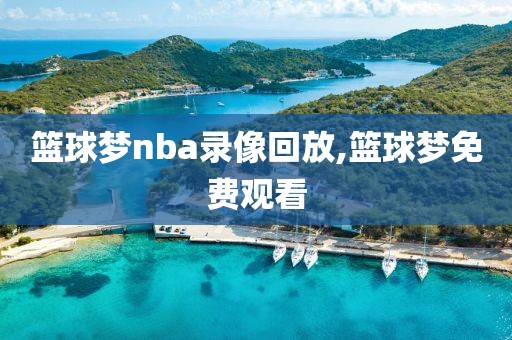 篮球梦nba录像回放,篮球梦免费观看