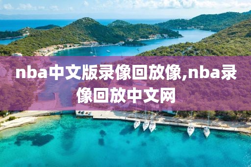 nba中文版录像回放像,nba录像回放中文网