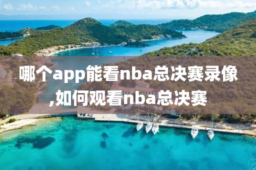 哪个app能看nba总决赛录像,如何观看nba总决赛