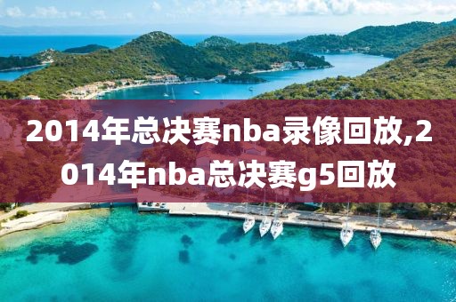 2014年总决赛nba录像回放,2014年nba总决赛g5回放