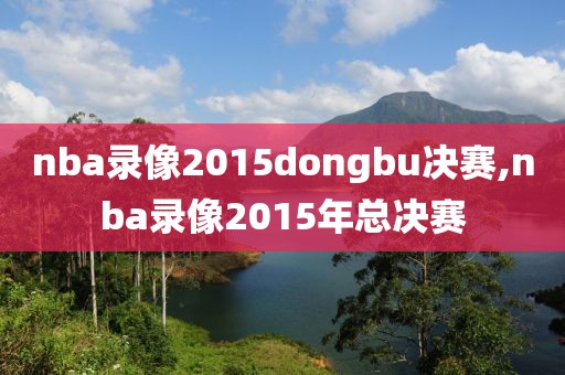 nba录像2015dongbu决赛,nba录像2015年总决赛