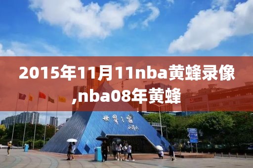 2015年11月11nba黄蜂录像,nba08年黄蜂