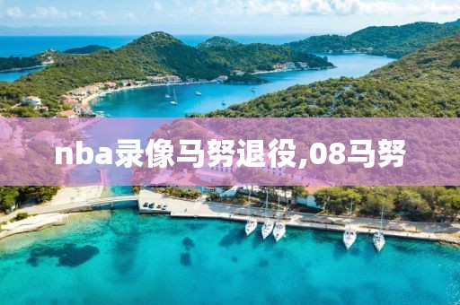 nba录像马努退役,08马努