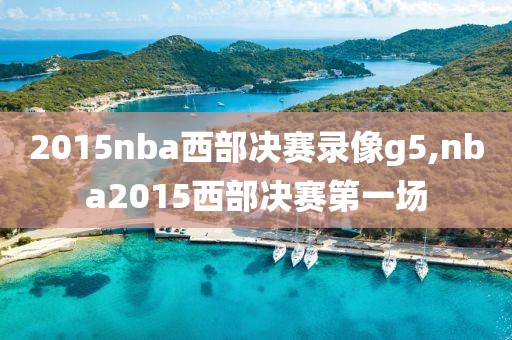 2015nba西部决赛录像g5,nba2015西部决赛第一场