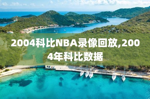 2004科比NBA录像回放,2004年科比数据