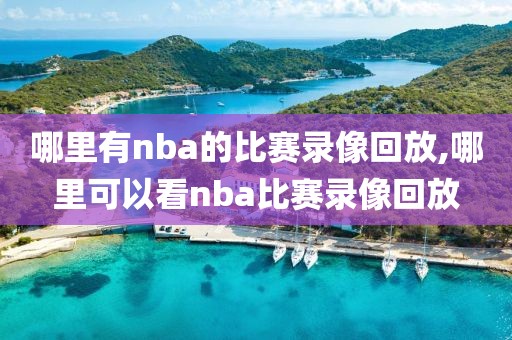 哪里有nba的比赛录像回放,哪里可以看nba比赛录像回放