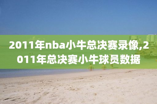 2011年nba小牛总决赛录像,2011年总决赛小牛球员数据