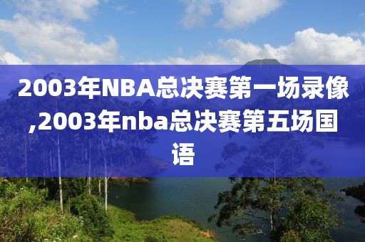 2003年NBA总决赛第一场录像,2003年nba总决赛第五场国语