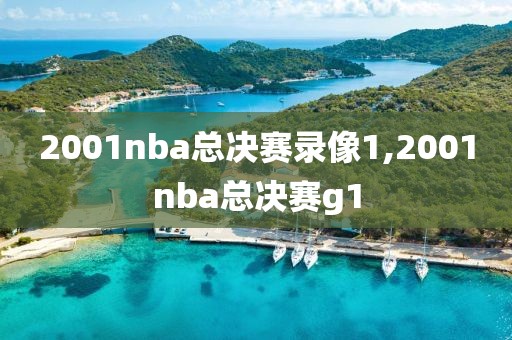 2001nba总决赛录像1,2001nba总决赛g1